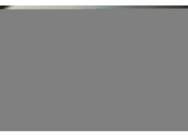 Albania will temporarily ban the popular social media app TikTok due to concerns over its negative impact on violence and bullying.