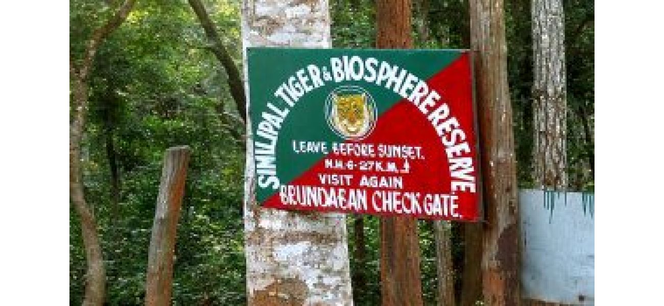 A tigress from Similipal Tiger Reserve was seen in Purulia, West Bengal after wandering away.