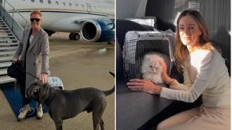 Ronan Keating is spending big to fly his pets home for the holidays on a private jet, with a single seat costing £13,000.