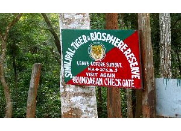 A tigress from Similipal Tiger Reserve was seen in Purulia, West Bengal after wandering away.