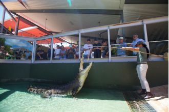 Crocodile Dundee's famous saltwater crocodile dies at old age