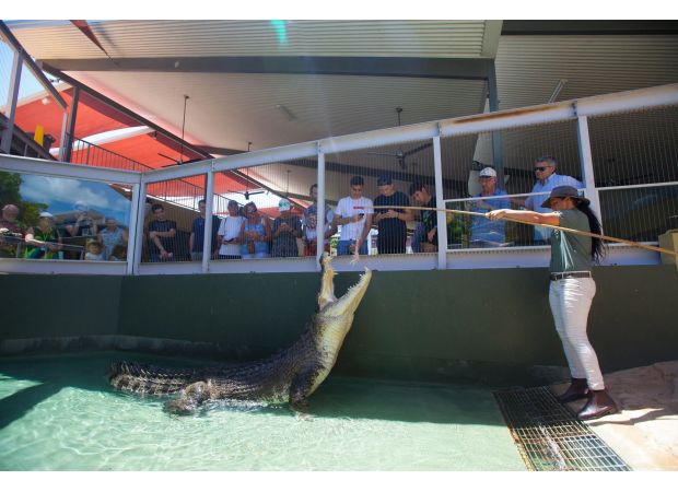 Crocodile Dundee's famous saltwater crocodile dies at old age