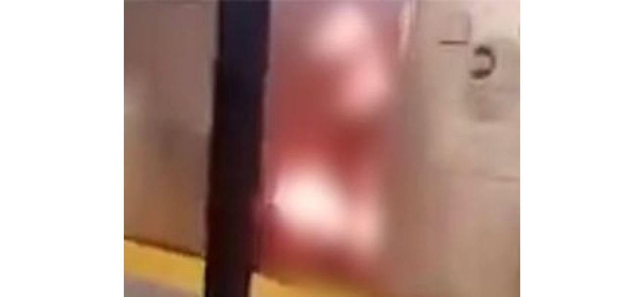 A woman was burned alive on a train by a killer who watched her suffer.
