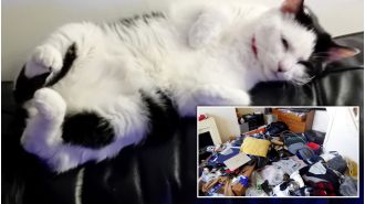 An unfortunate cat left alone for five weeks finds a new home just in time for Christmas.