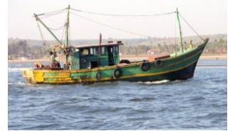 17 fishermen arrested for violating laws by fishing in a protected area for turtles in Odisha.