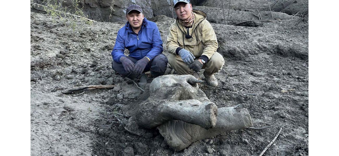 Exceptionally preserved baby mammoth discovered in Russian crater hailed as the best in the world.