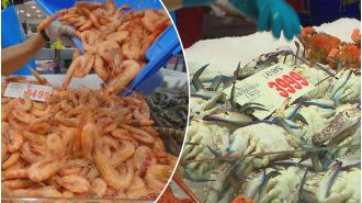 The Sydney fish market's 36-hour event begins in old building for final time.