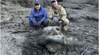 Exceptionally preserved baby mammoth discovered in Russian crater hailed as the best in the world.
