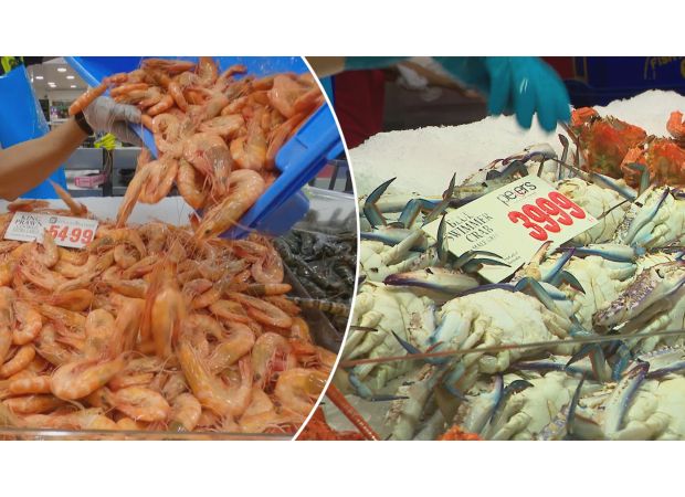 The Sydney fish market's 36-hour event begins in old building for final time.