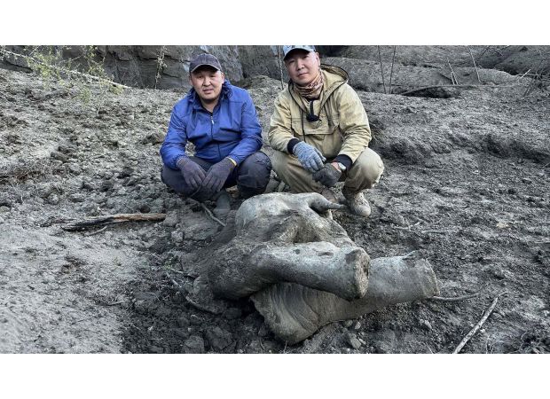 Exceptionally preserved baby mammoth discovered in Russian crater hailed as the best in the world.
