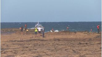 Authorities are frantically looking for a young boy who was swept away from the rocks at a beach on the NSW Central Coast.