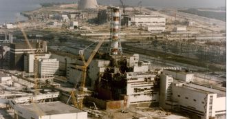 Fungus in Chernobyl zone absorbs harmful radiation.