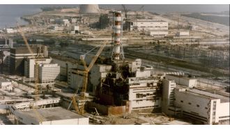 Fungus in Chernobyl zone absorbs harmful radiation.