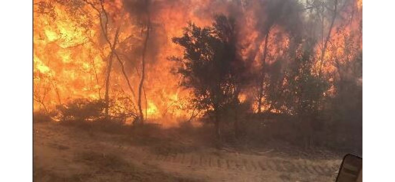 Christmas Day alert for ongoing bushfire emergency