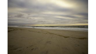 Beachgoers on evening walk find human jawbone in sand.