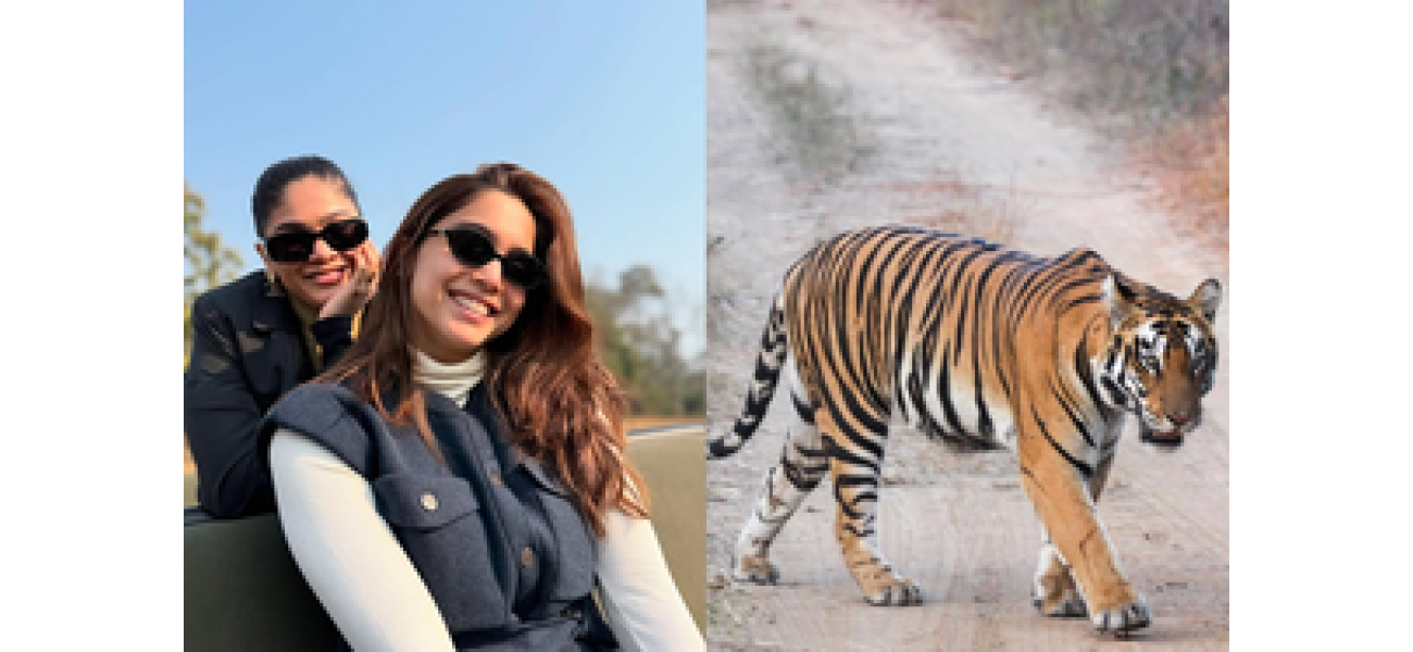 Sharvari spends Christmas in the wilderness at Satpura Tiger Reserve.