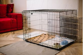 A 7-year-old relative was locked in a dog cage under the Christmas tree by their mom.