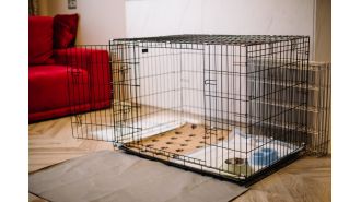 A 7-year-old relative was locked in a dog cage under the Christmas tree by their mom.