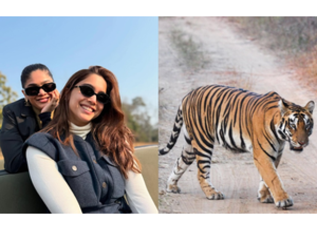 Sharvari spends Christmas in the wilderness at Satpura Tiger Reserve.