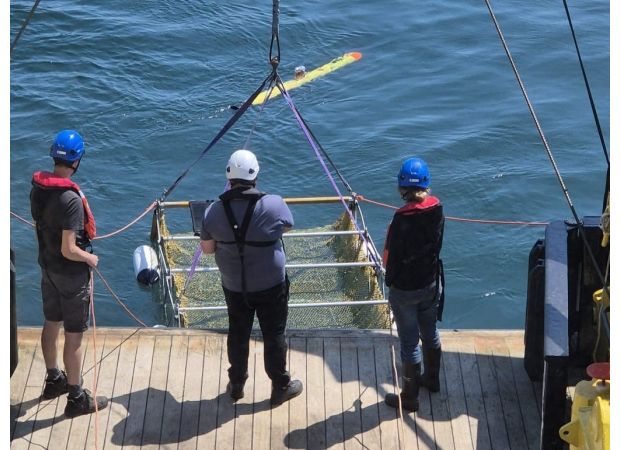 Archaeologists discover ruins of 'Atlantis' in North Sea, believed to be from ancient Britain.