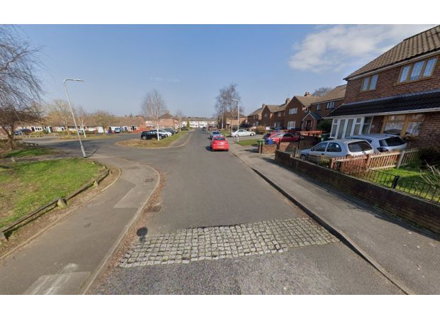 A woman was taken into custody for allegedly killing a man on Christmas Day.