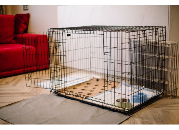 A 7-year-old relative was locked in a dog cage under the Christmas tree by their mom.