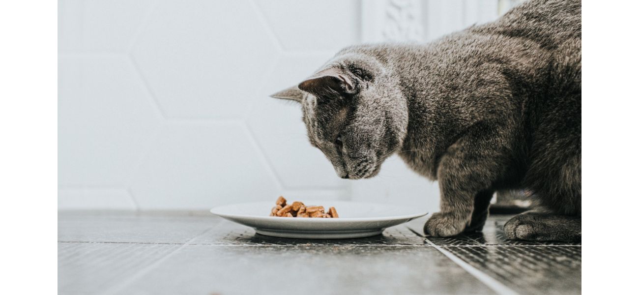 Pet food recalled due to bird flu contamination, which killed a house cat that consumed it.