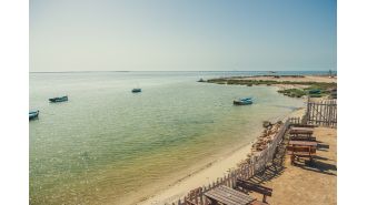 Travel company slashes prices for week-long vacations to £28 in major sale.