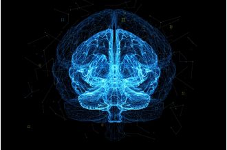 The brain thinks much slower than the internet connection, only 5,000,000 times per second.