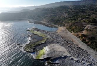 Human limbs found on fancy beach