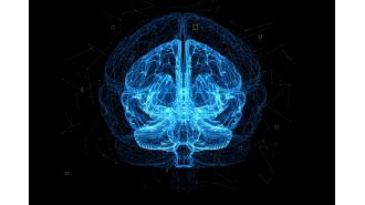 The brain thinks much slower than the internet connection, only 5,000,000 times per second.