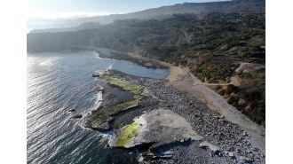 Human limbs found on fancy beach