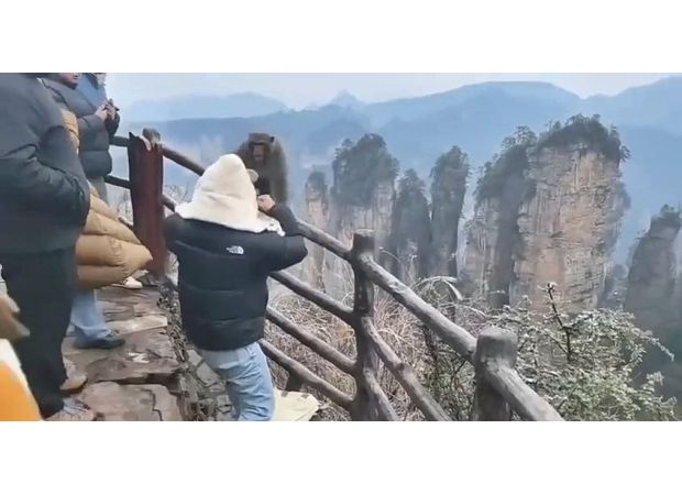An aggressive tourist punches a mean monkey.