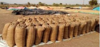 BJD wants Odisha to buy rice from farmers regardless of quality.