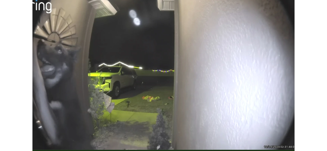 A lost dog came back and rang the doorbell, captured on video.