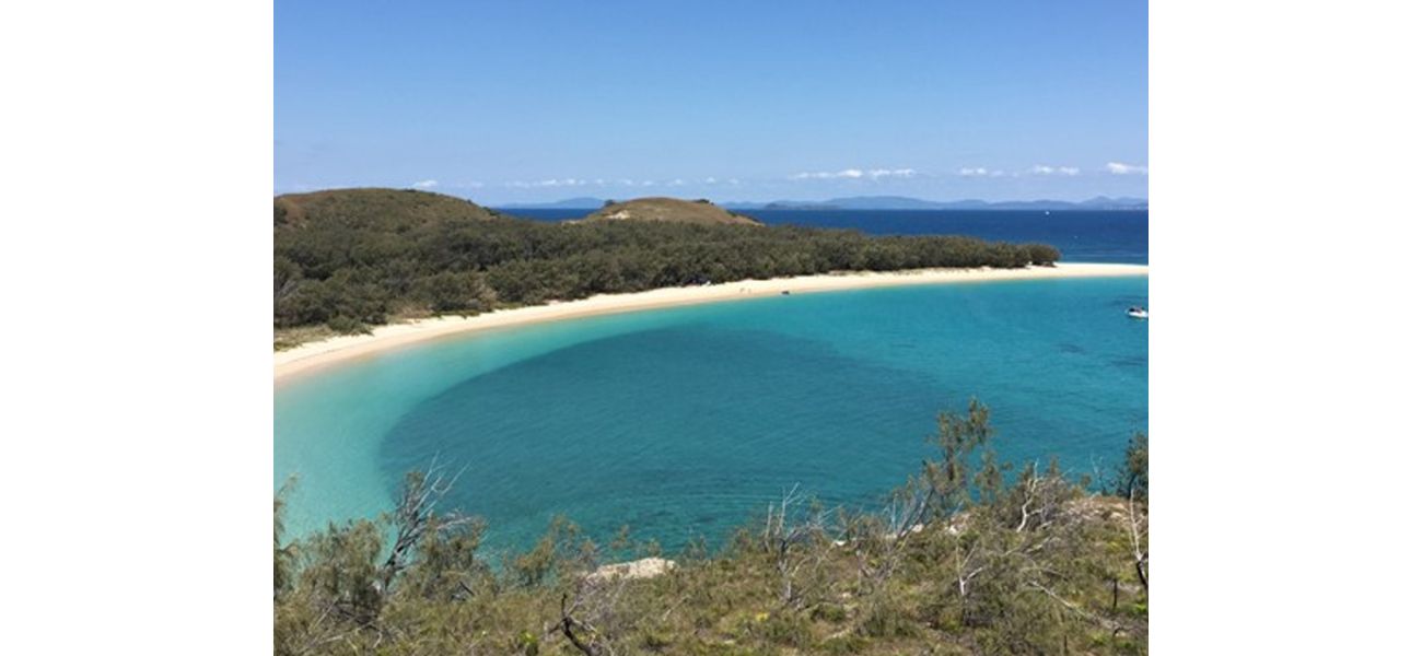 A man was fatally attacked by a shark while he was out fishing with his family.