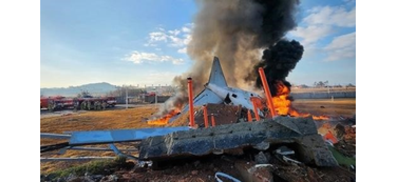 Dozens killed in South Korea plane accident, two people survive.