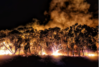 Financial assistance available for those affected by devastating bushfire in Grampians, Victoria.