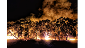 Financial assistance available for those affected by devastating bushfire in Grampians, Victoria.