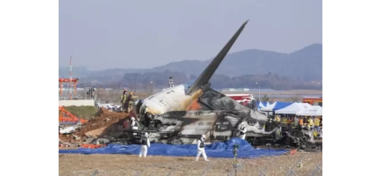 179 dead as plane catches fire during landing in South Korea.