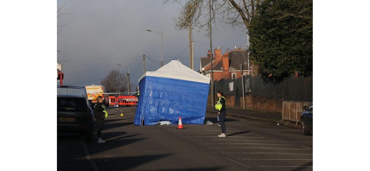 Seven people taken into custody following fatal stabbing of teenager on public road.