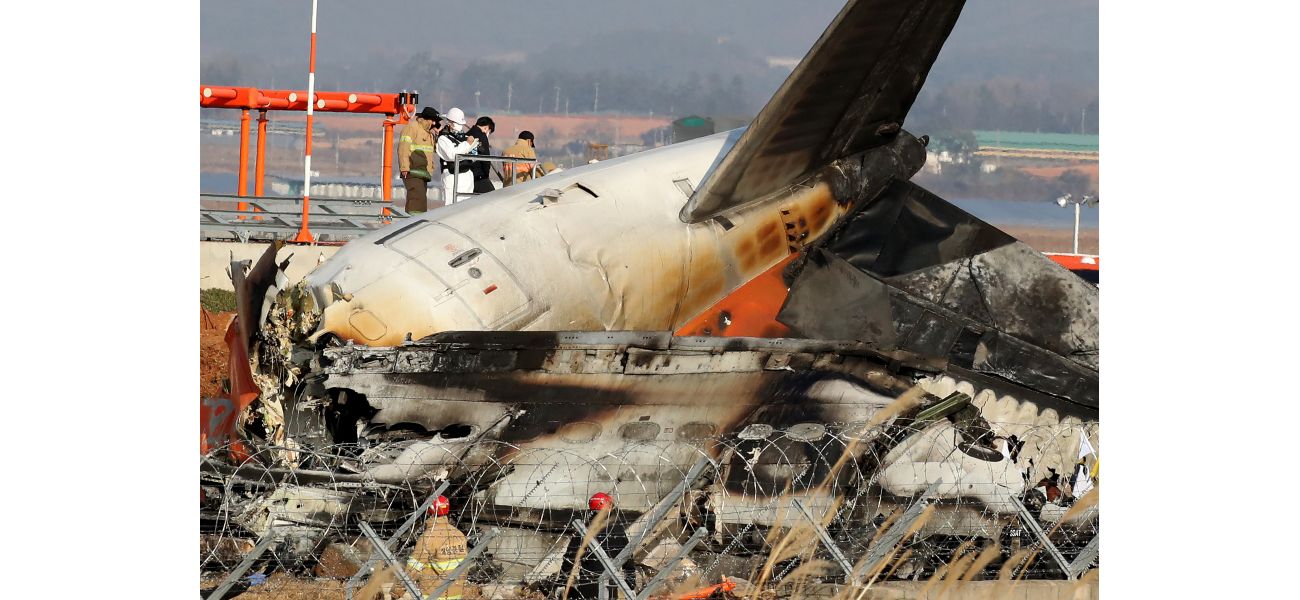 Experts give input as uncertainty lingers about South Korea aircraft accident.