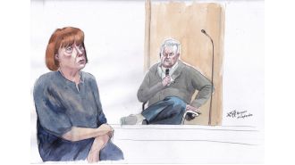 Pelicot accepts 20-year sentence for organizing mass rapes, won't challenge it in court.