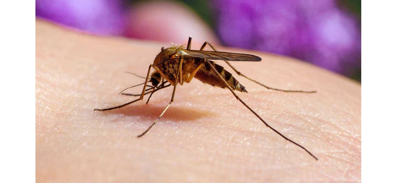 Initial case of Japanese encephalitis found in Victoria this summer.