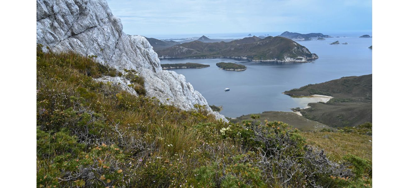 Hiker dies after falling from a high point on a Tasmanian mountain.