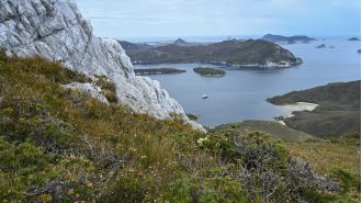 Hiker dies after falling from a high point on a Tasmanian mountain.