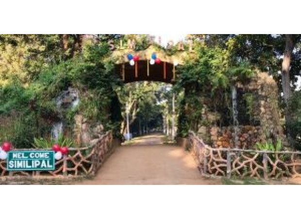 Using AI cameras, 13 poachers in Similipal were caught.