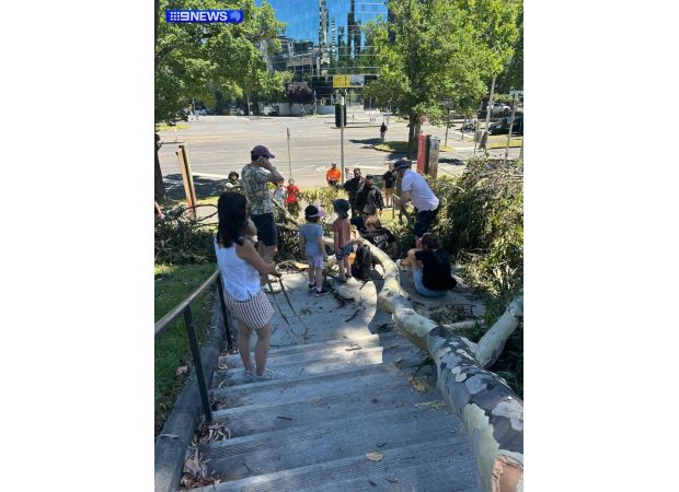Mother and child harmed by tree collapse at Melbourne's Shrine of Remembrance.