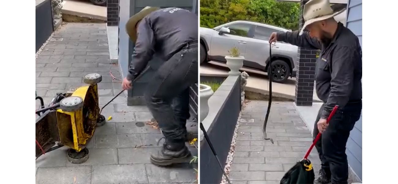 Man discovers lethal serpent coiled within ancient yard machine