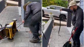 Man discovers lethal serpent coiled within ancient yard machine